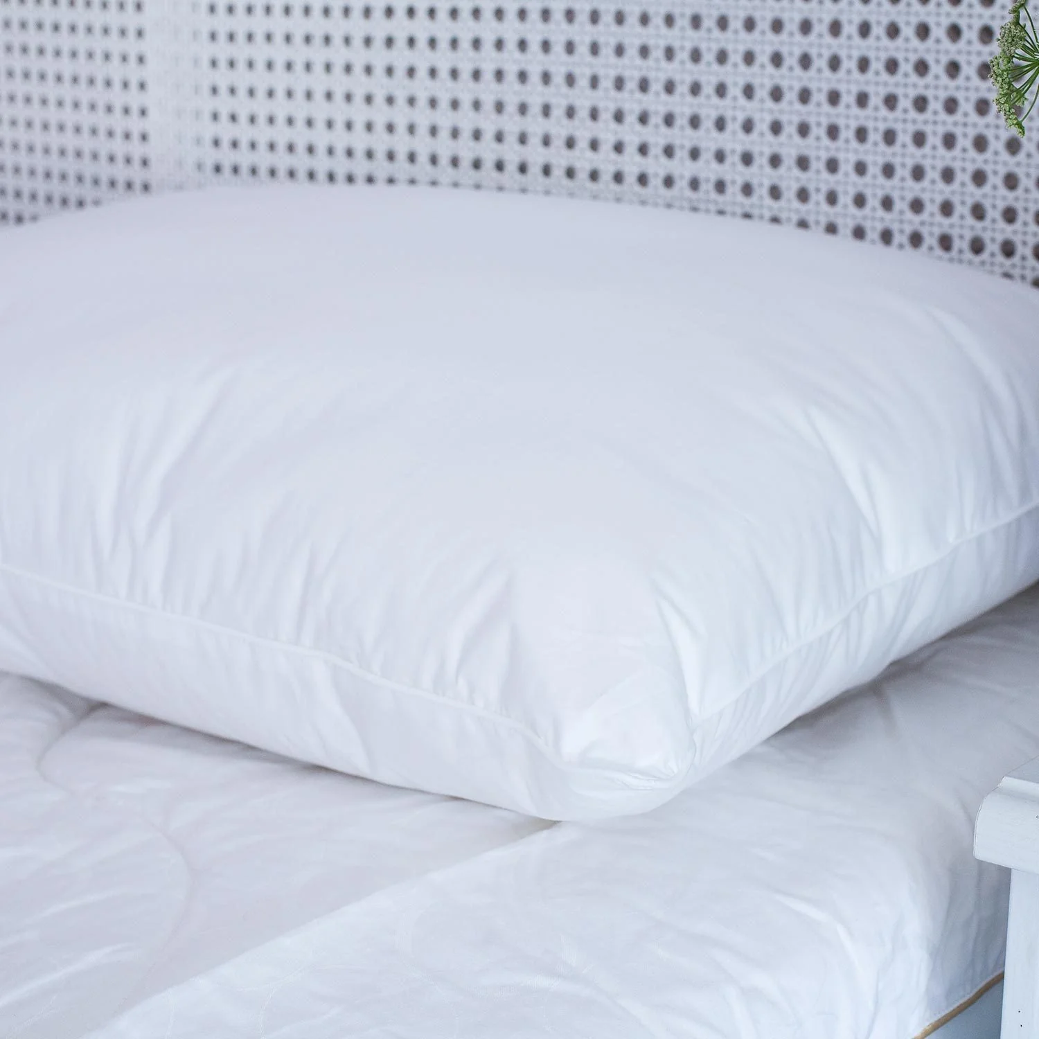 British 100% Wool Pillow - Medium Fill - Image 4