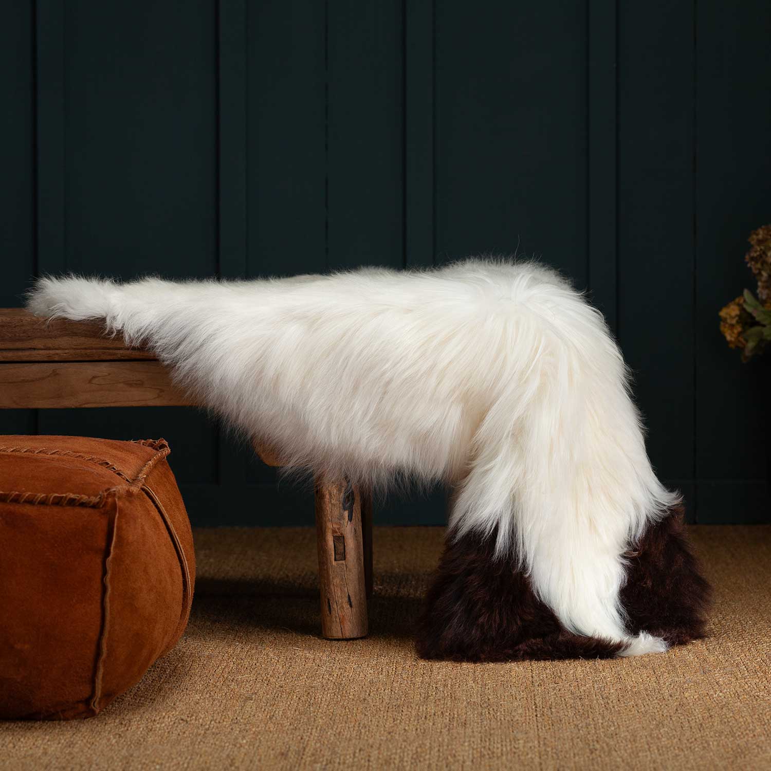 Himalayan Natural Piebald Sheepskin - Image 4