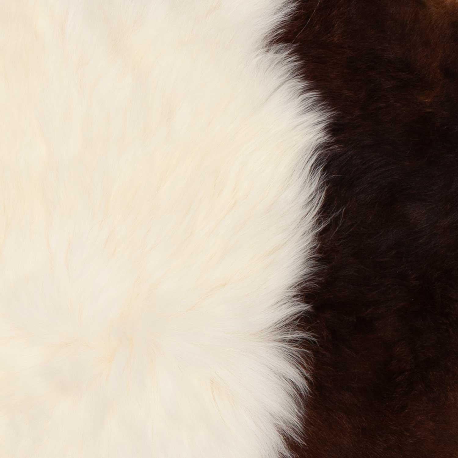 Himalayan Natural Piebald Sheepskin - Image 6