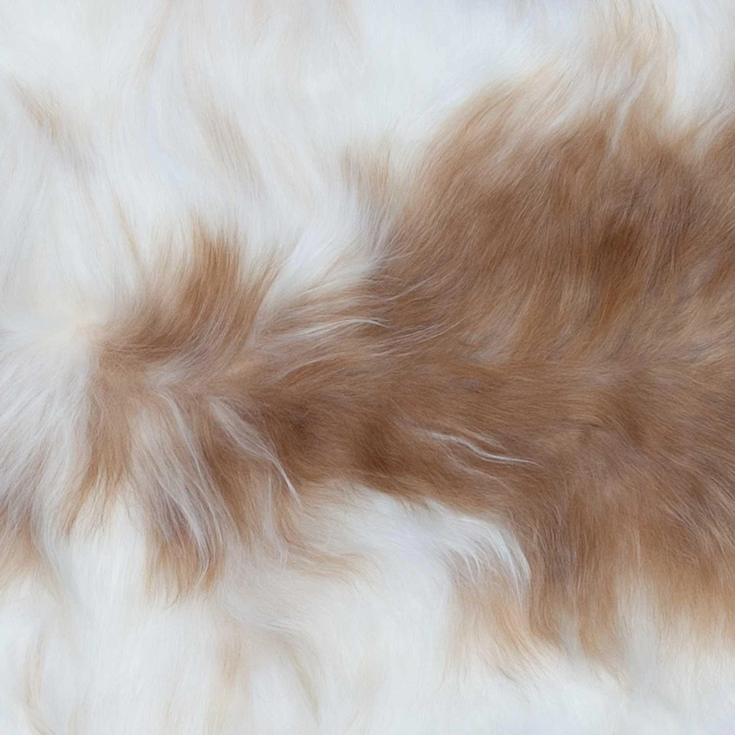 Himalayan Natural Spot Sheepskin - Image 6