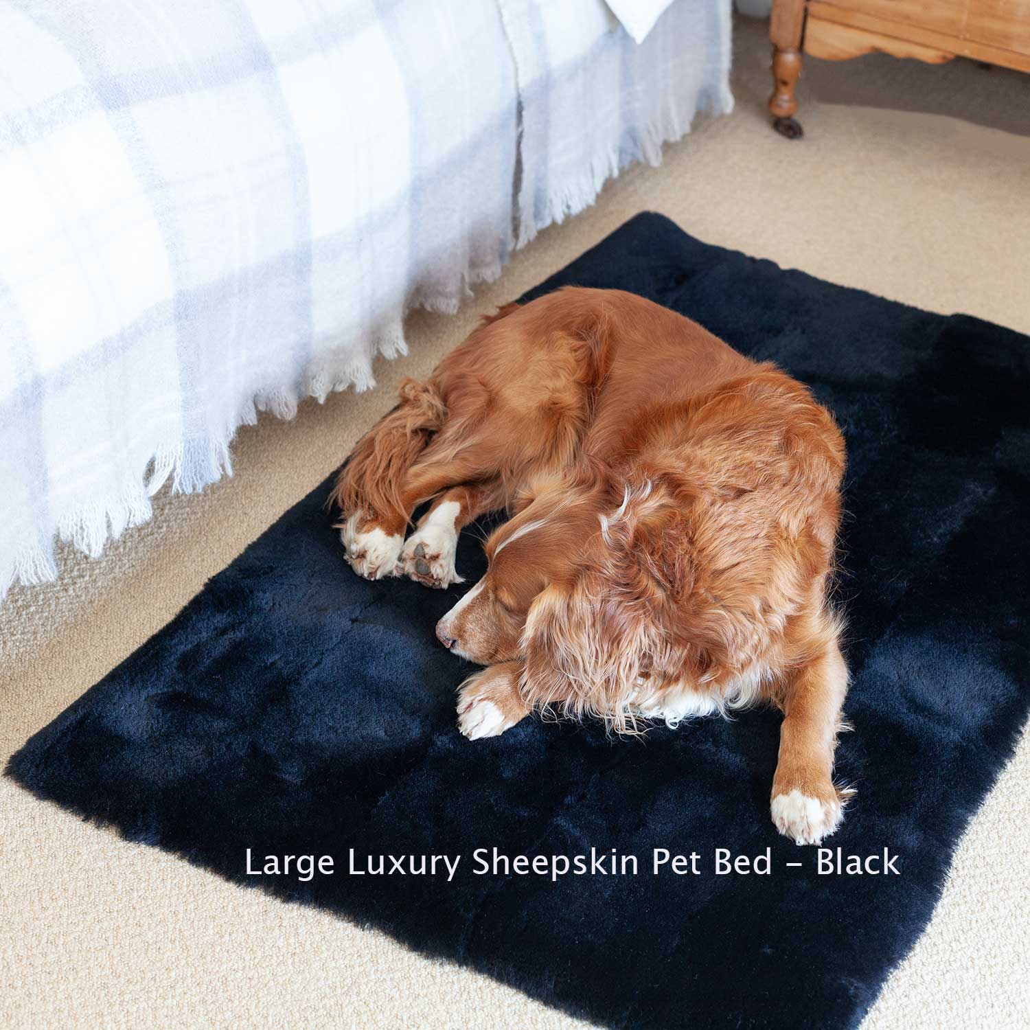 Luxury Sheepskin Pet Bed - Image 4