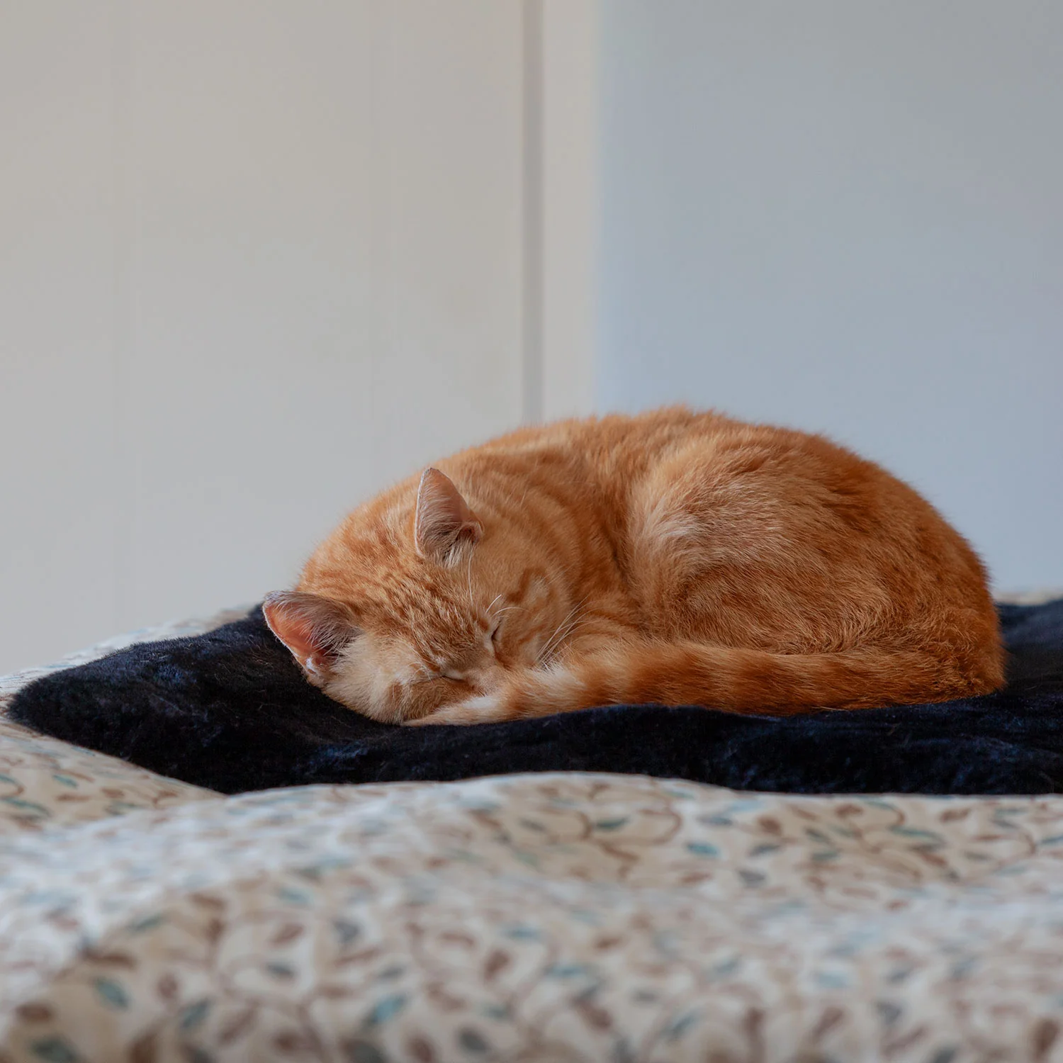 Luxury Sheepskin Pet Bed - Image 5