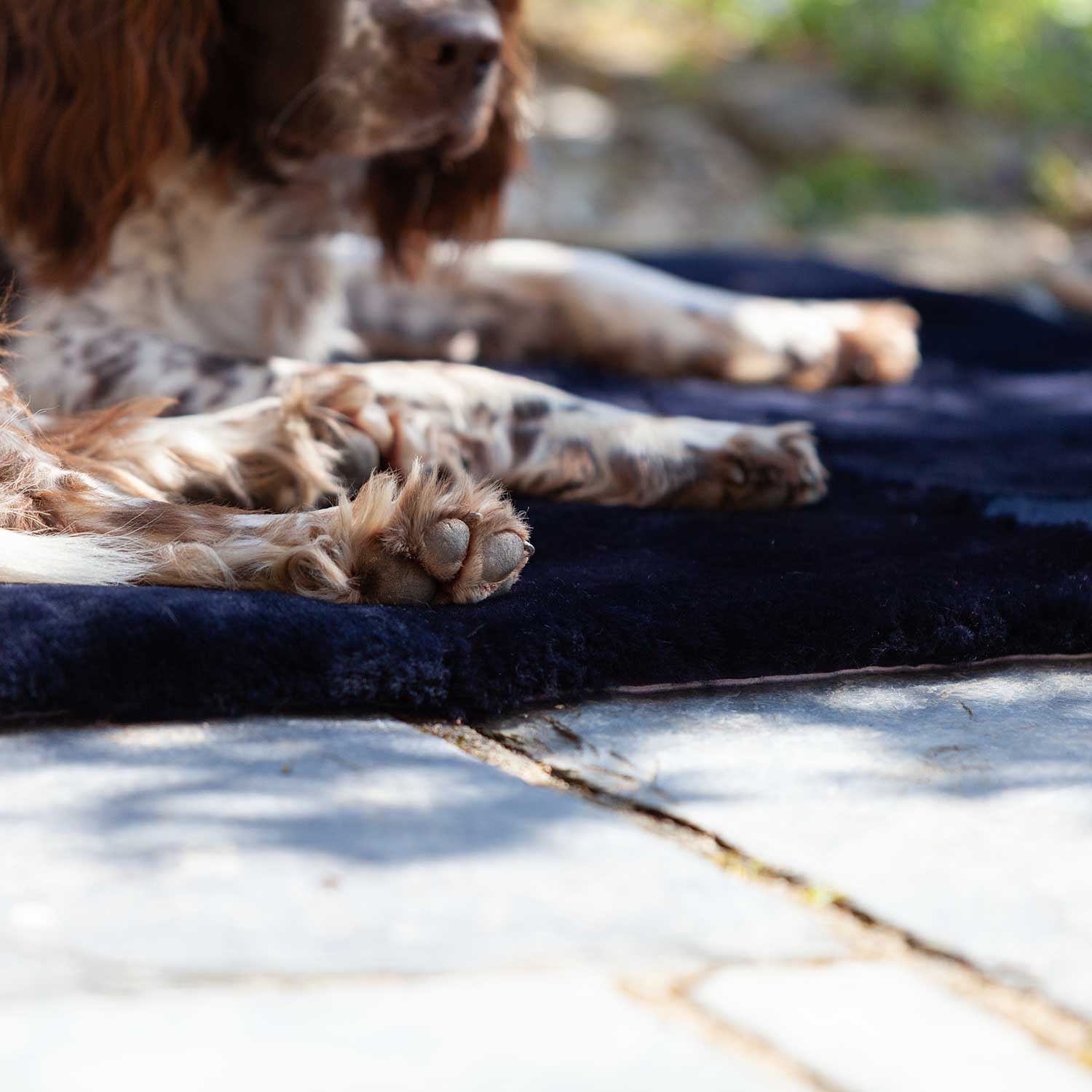 Luxury Sheepskin Pet Bed - Image 7