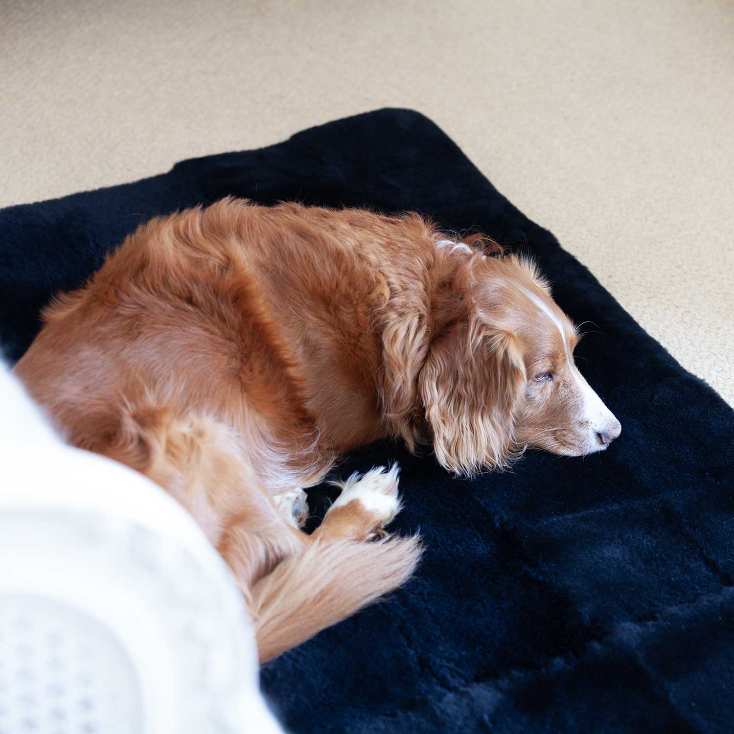 Luxury Sheepskin Pet Bed - Image 9
