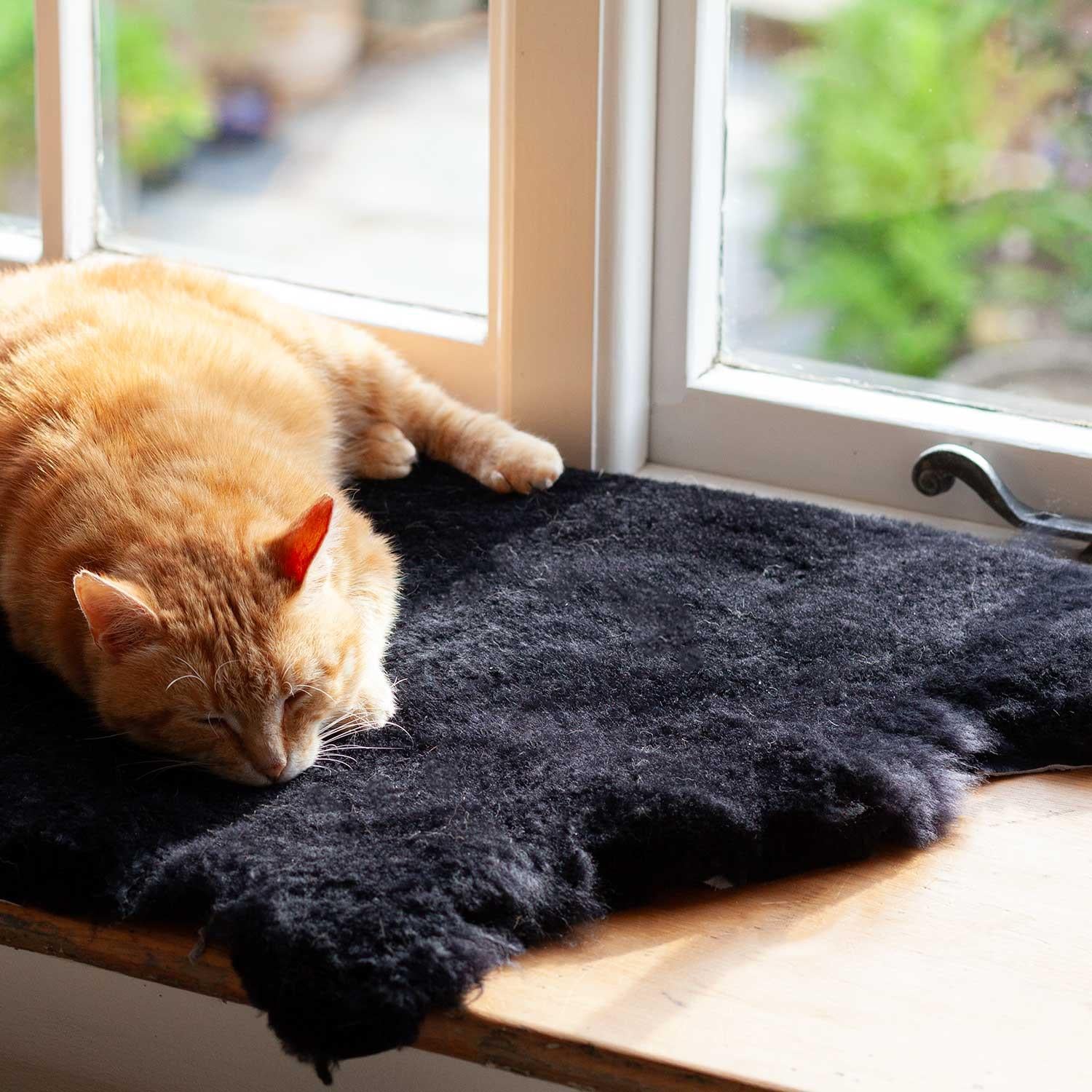 Luxury Boho Pet Rug Black - Image 3