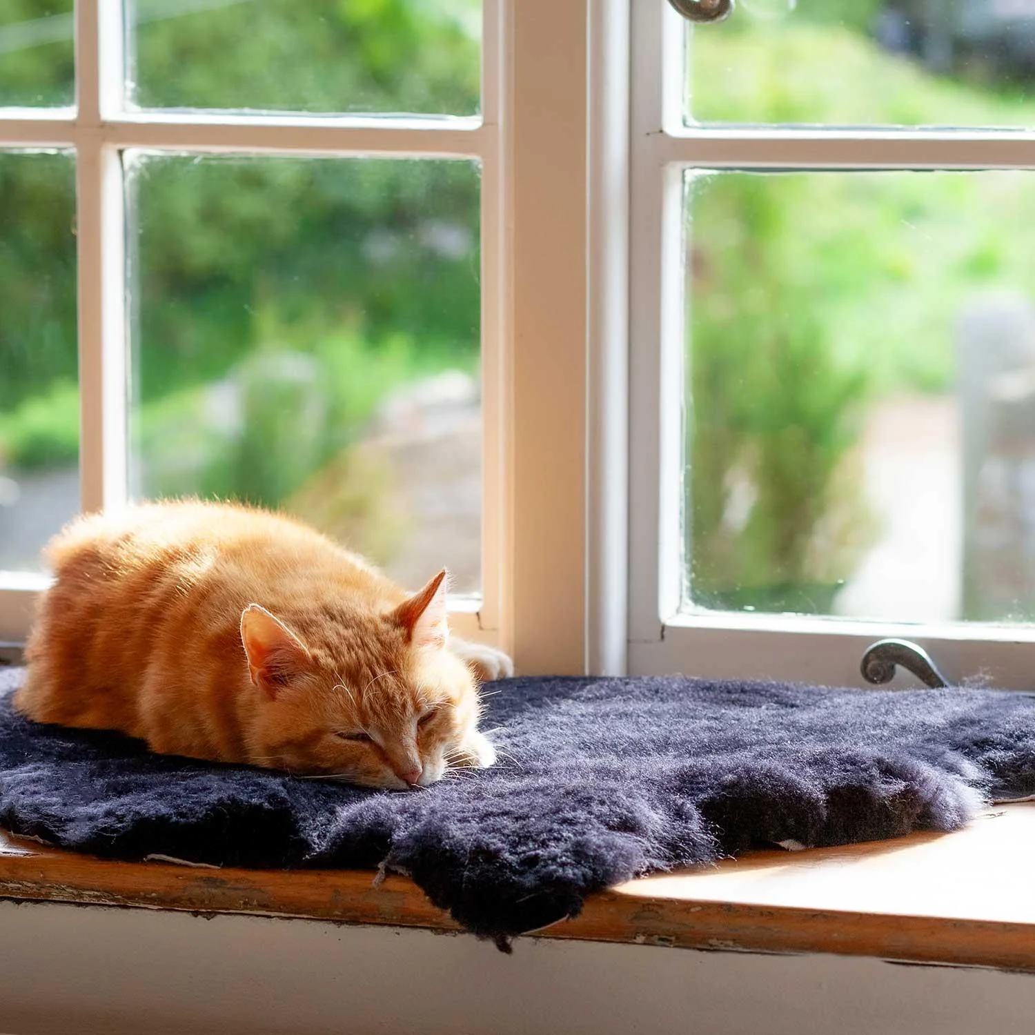 Luxury Boho Pet Rug Black - Image 4