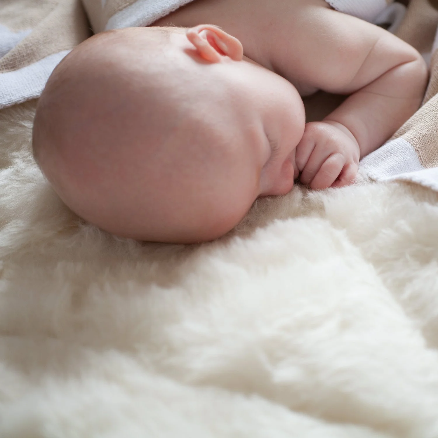 Merino Wool Cot Bed Mattress Topper - Image 5